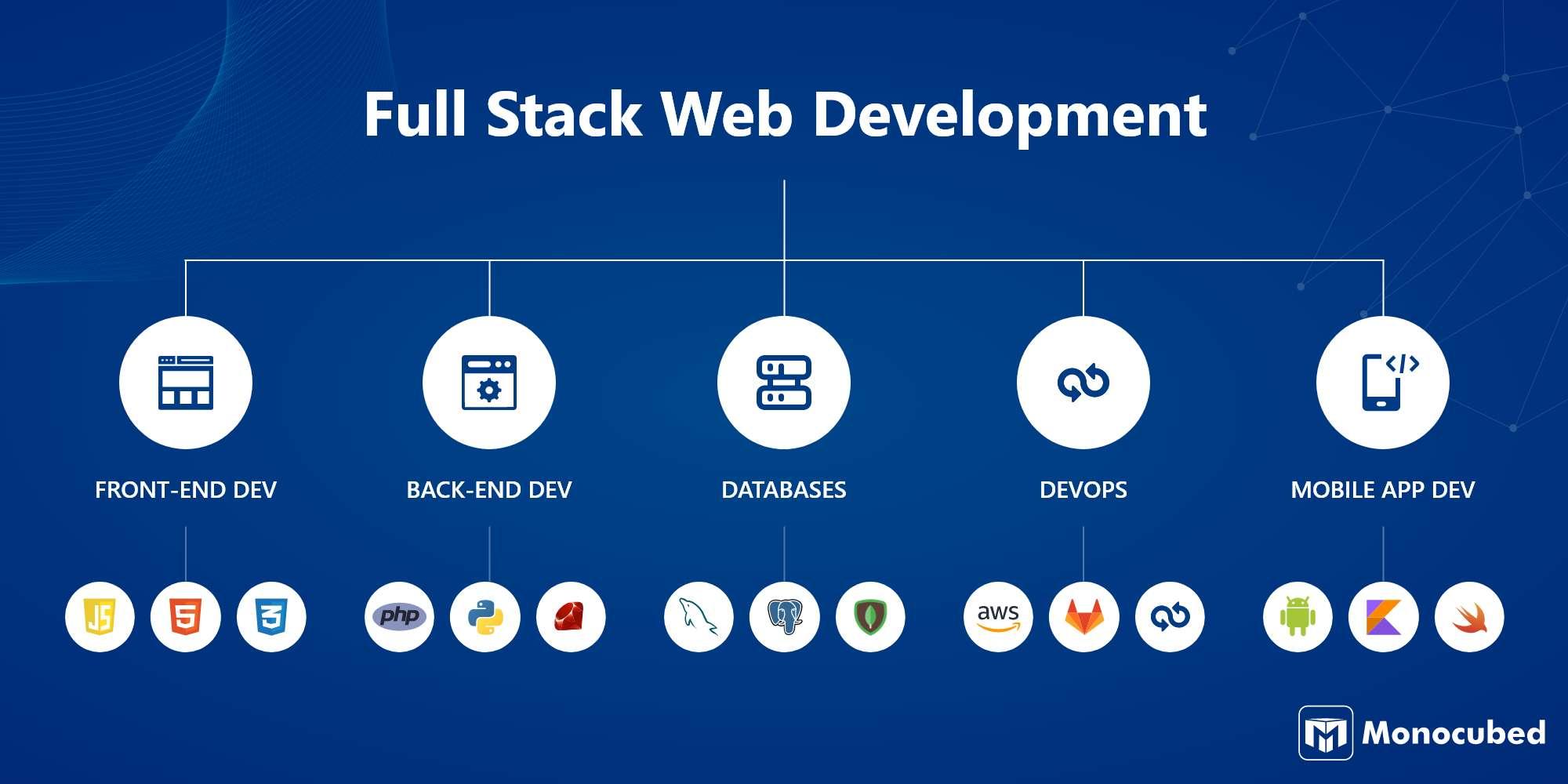 Full Stack Developer vs Specialized Developer: Which is Better?