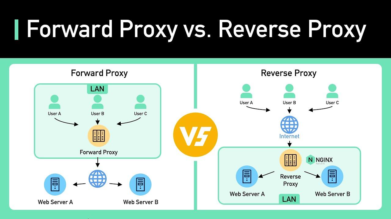 How to Use Nginx as a Reverse Proxy in Full Stack Applications